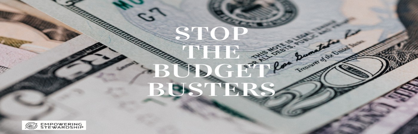 Budget Busters